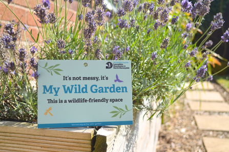 LWT's My Wild Garden plaque resting against a planter full of lavender