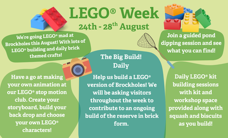 LEGO week