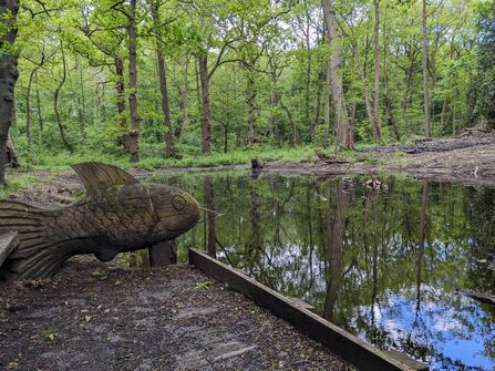 Wooden fish sculpture overlooking a restored pond