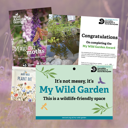 An image of our My Wild Garden award plaque, certificate, gardening booklet and wildflower seeds