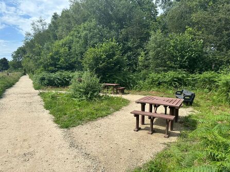 Surfaced paths and picnic benches in a woodland