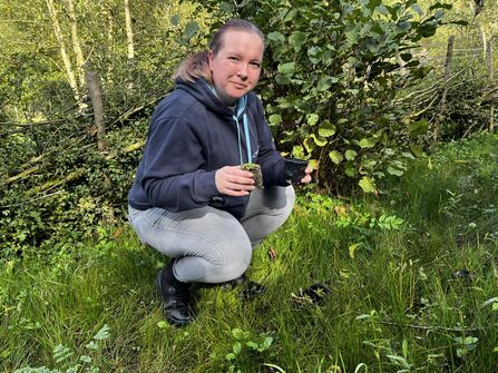 Laura Seaton from 34SP.com planting wildflowers at Phillips Park