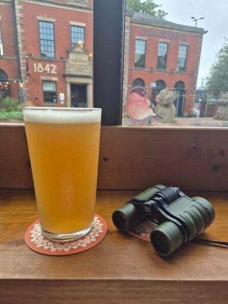 A pint and binoculars