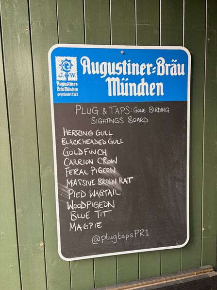 A sighting board for birds 