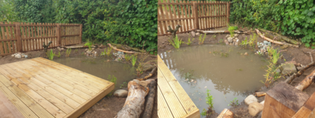 School grounds ponds 