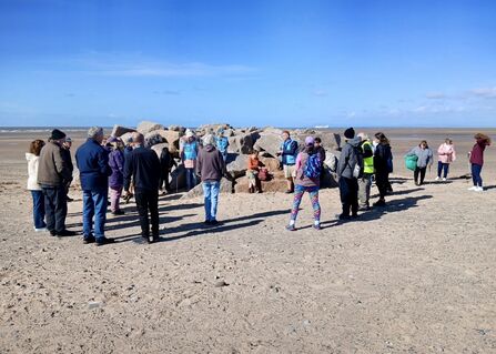 Group of people doing a beach clean on a sunny day