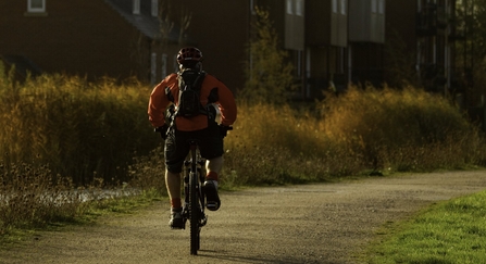 A man riding his bike down a cycle path next to houses in golden light