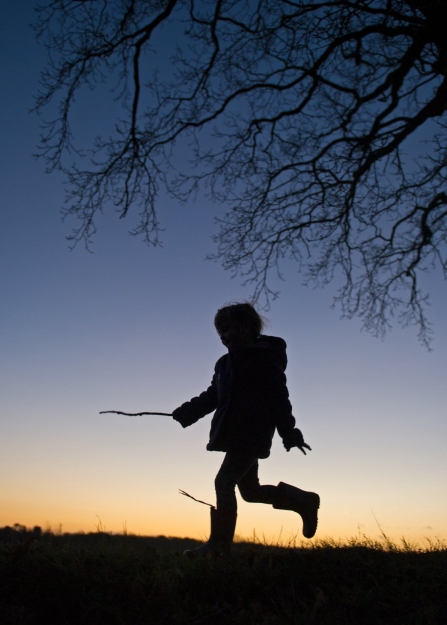 The silhouette of a child playing with a stick under a tree at sunset
