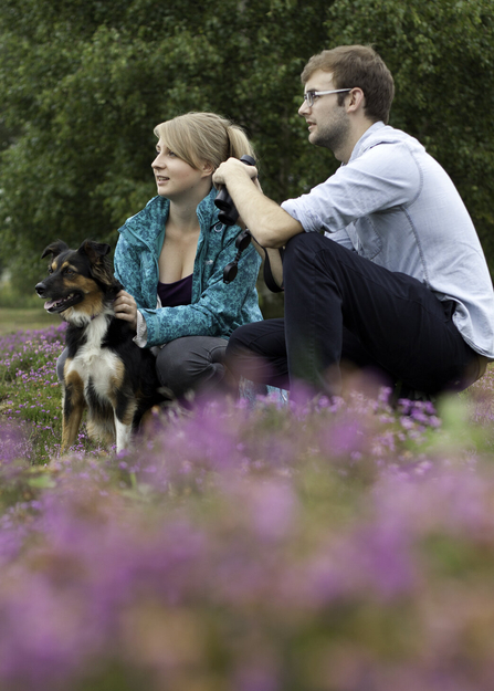 A young couple sitting amongst purple heather with their black, white and tan collie-cross dog