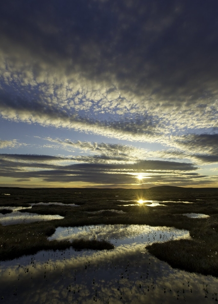 The sun setting and casting shafts of light over the pools on a peat bog
