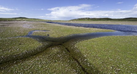A vast saltmarsh stretching out to hills