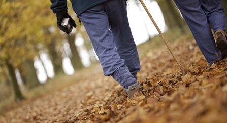 The legs of a couple walking through autumn leaves in a forest