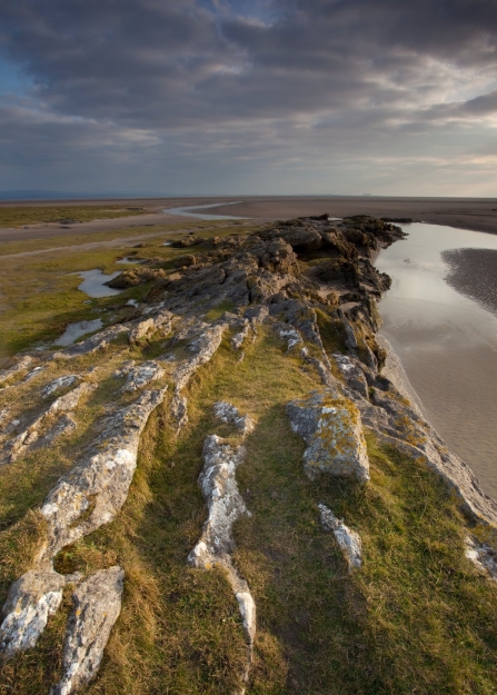 A limestone outcrop on the edge of saltmarsh and mudflats at Morecambe Bay