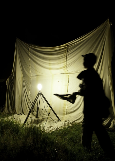 A child running towards a light trap with an insect net to catch a moth