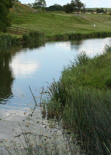 A river running through fields in the countryside