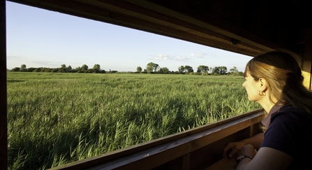 A woman sitting at a window in a bird hide and looking out over a green wetland landscape