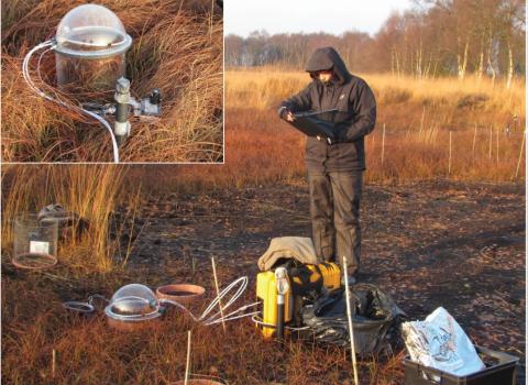 Anna monitoring gases