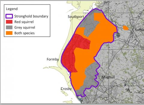 red squirrel map cropped