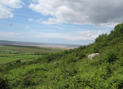 Warton Crag