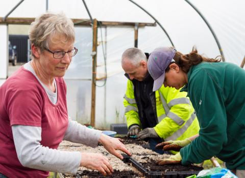 volunteers at brockholes