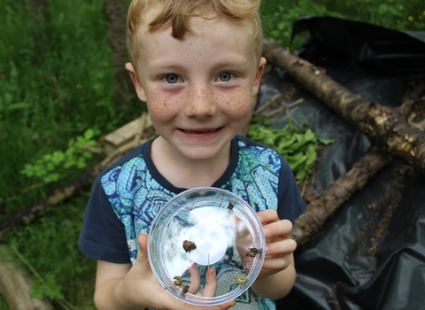 minibeast hunt brockholes