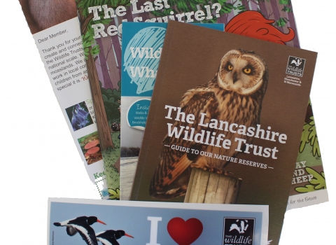 Lancashire Wildlife Trust membership pack