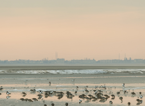 2. With under a year to go until Brexit, this is a pivotal moment for the environment