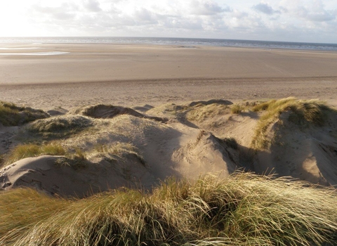 Sand dunes