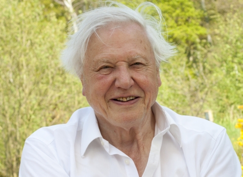 David Attenborough