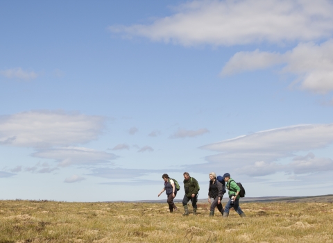 A group of friends walking in the uplands together