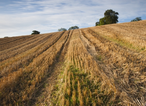 Harvested field by Paul Harris/2020VISION