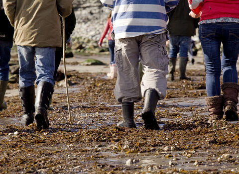 Welly Beach Walk