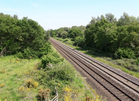 Railway by Adrian Royston