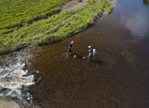 Two scientists standing in a river and measuring water quality