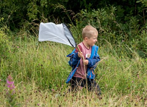 A little boy bug hunting with a net at Heysham Nature Reserve