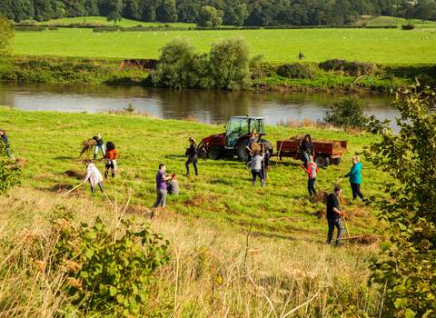 Workplace Wellbeing at Brockholes