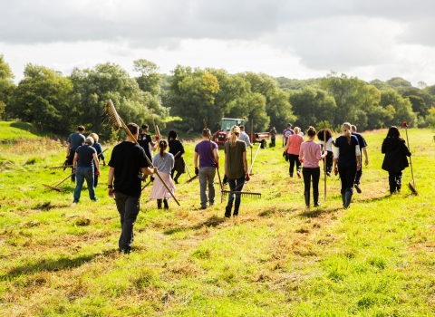 Workplace Wellbeing at Brockholes