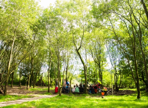 Workplace Wellbeing at Brockholes
