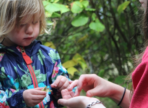 A child learning about nature at a Nature Tots session with Lancashire Wildlife Trust