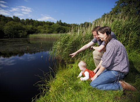 A family watching wildlife on a grass bank next to a river