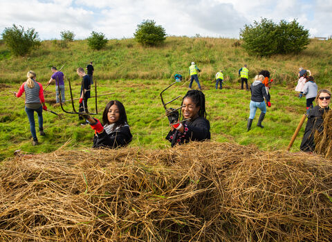 Siemans employees taking part in a Wild Wellbeing Day at Brockholes Nature Reserve
