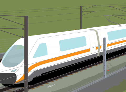 HS2 cannot continue in its current form, where rare wildlife and wild places are at risk
