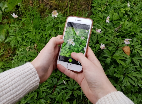 Wildlife recording inaturalist