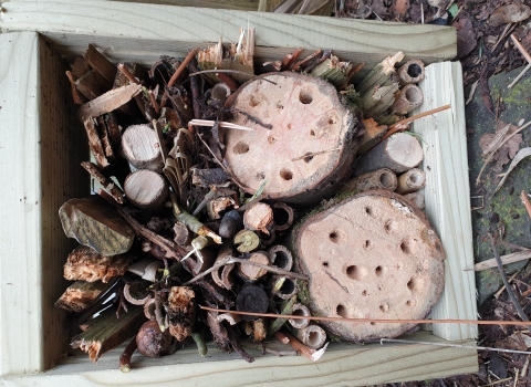 Bug Hotel