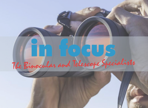In Focus