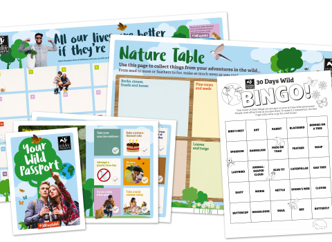 A 30 Days Wild pack containing a wall chart, bingo card, nature table template and more