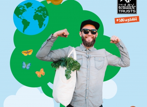 A man with a bag of leafy greens standing in front of graphics of a tree and birds