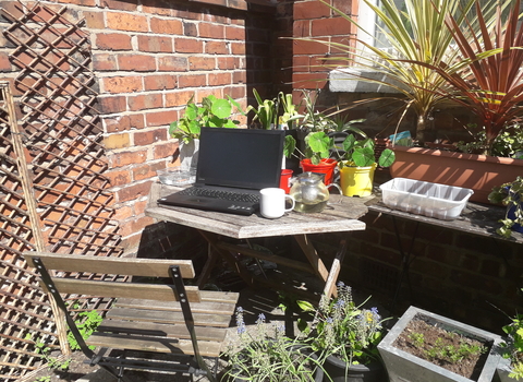 Myplace online sessions