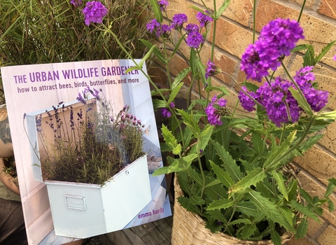 The Urban Wildlife Gardener