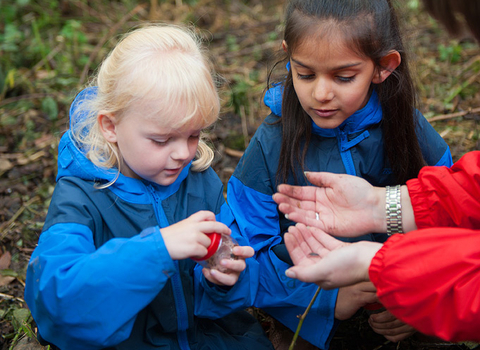 Two young children looking at an insect in a bug pot in the woods